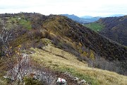 Anello Corna Bianca (1228 m) Monte Costone (1195 m) da Salmezza il 12 nov. 2017  - FOTOGALLERY